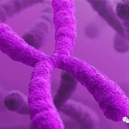 Ultragenyx——成立四年登陆纳斯达克的罕见病药物公司 |Biotech Outlook