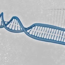 从Illumina到启函——海归创业，寻找生命密码的不同解法 | Biotech Outlook